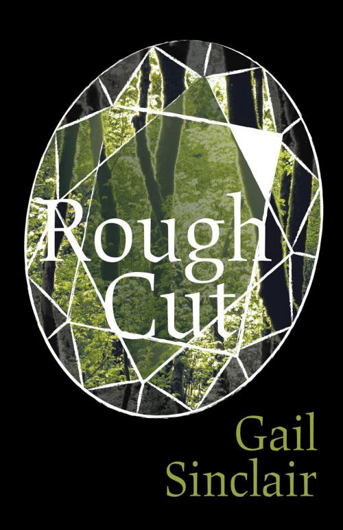 Cover of the book Rough Cut by Gail Sinclair, FriesenPress