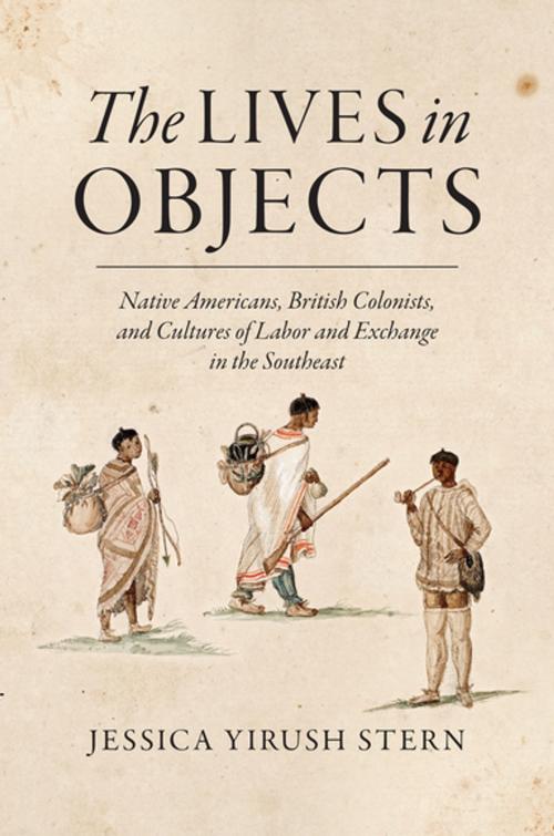 Cover of the book The Lives in Objects by Jessica Yirush Stern, The University of North Carolina Press