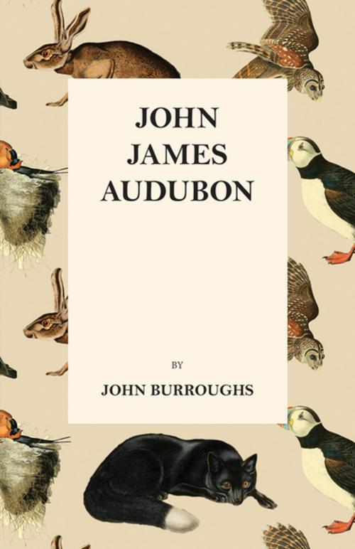 Cover of the book John James Audubon by John Burroughs, Read Books Ltd.