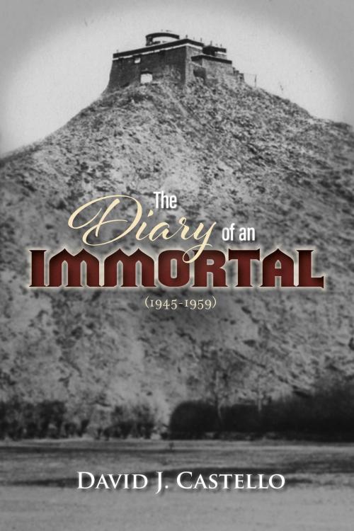 Cover of the book The Diary of an Immortal (1945-1959) by David J. Castello, BookBaby