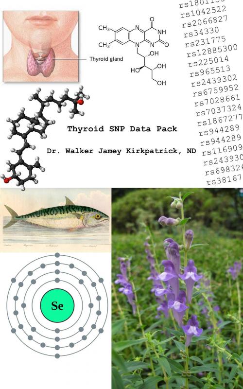 Cover of the book Thyroid SNP Data Pack by Dr. Walker Jamey Kirkpatrick, BookBaby