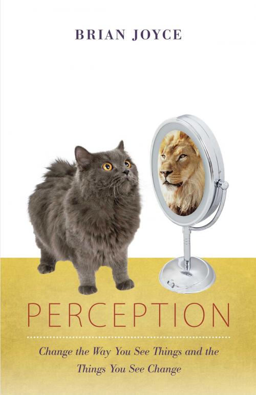 Cover of the book Perception by Brian Joyce, BookBaby