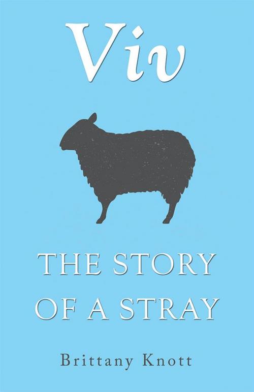 Cover of the book Viv by Brittany Knott, WestBow Press