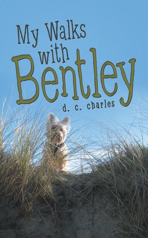 Cover of the book My Walks with Bentley by D. C. Charles, iUniverse