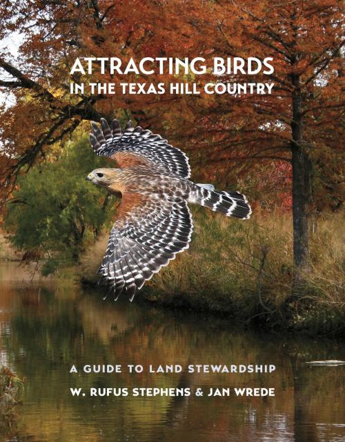 Cover of the book Attracting Birds in the Texas Hill Country by W. Rufus Stephens, Jan Wrede, Texas A&M University Press