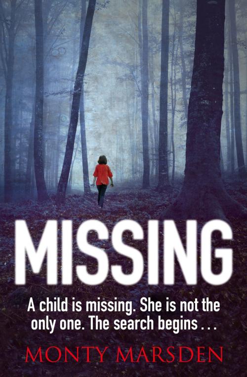 Cover of the book Missing by Monty Marsden, Head of Zeus