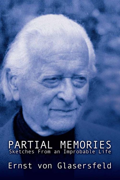 Cover of the book Partial Memories by Ernst von Glasersfeld, Andrews UK