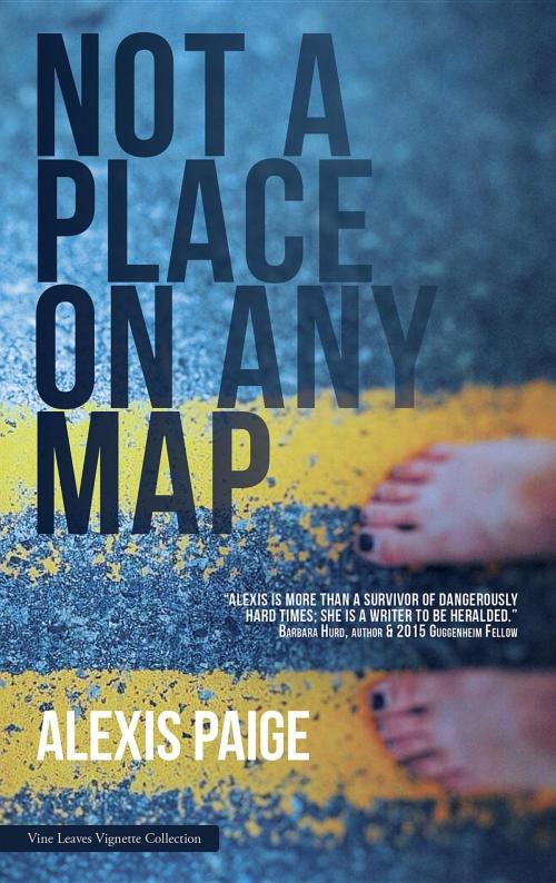 Cover of the book Not a Place on Any Map by Alexis Paige, Vine Leaves Press