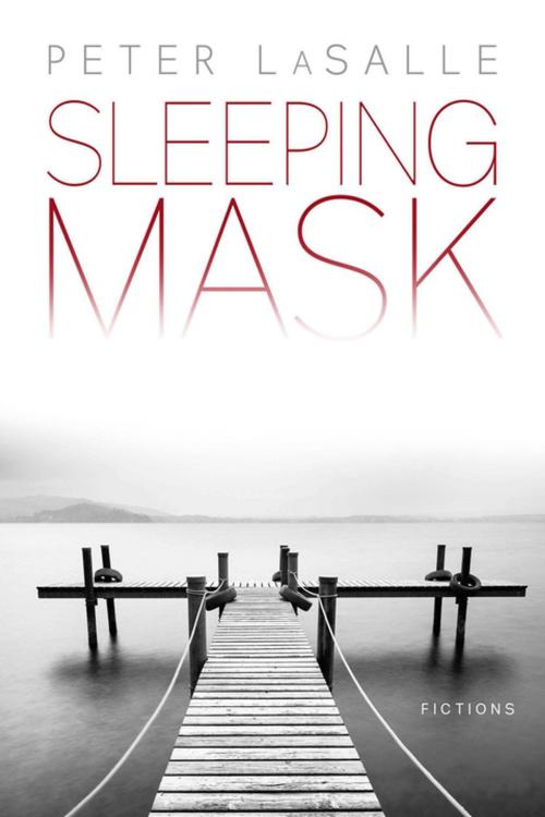 Cover of the book Sleeping Mask by Peter LaSalle, Bellevue Literary Press