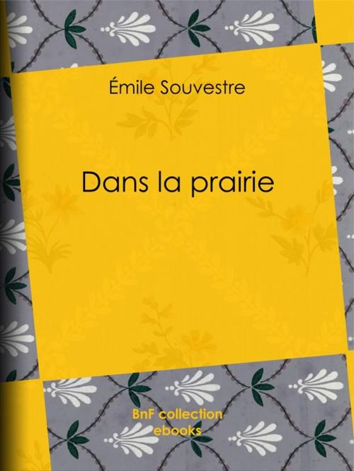 Cover of the book Dans la prairie by Emile Souvestre, BnF collection ebooks