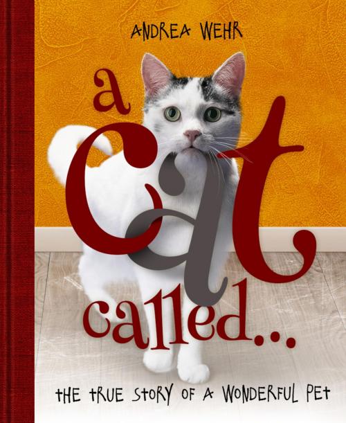 Cover of the book A Cat Called ... by Andrea Wehr, BookRix