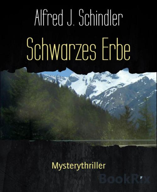 Cover of the book Schwarzes Erbe by Alfred J. Schindler, BookRix