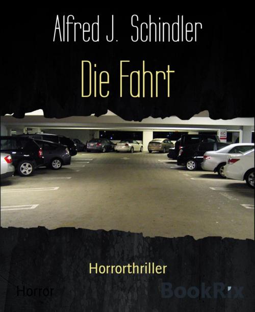 Cover of the book Die Fahrt by Alfred J. Schindler, BookRix