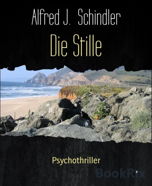 Cover of the book Die Stille by Alfred J. Schindler, BookRix