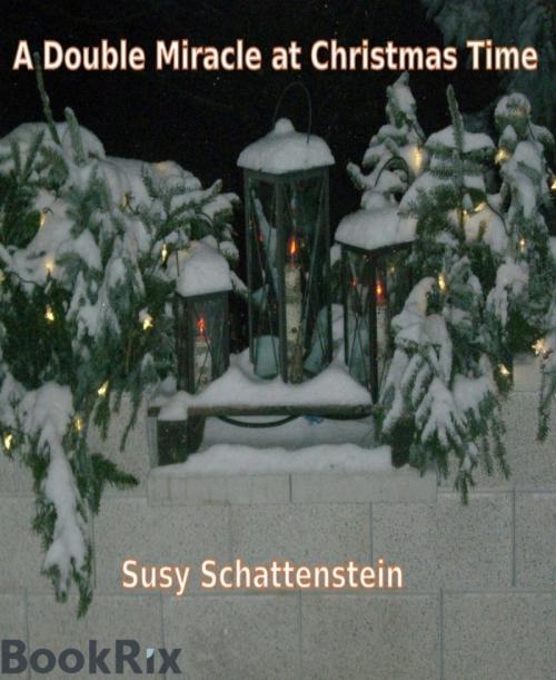 Cover of the book A Double Miracle at Christmas Time by Susy Schattenstein, BookRix