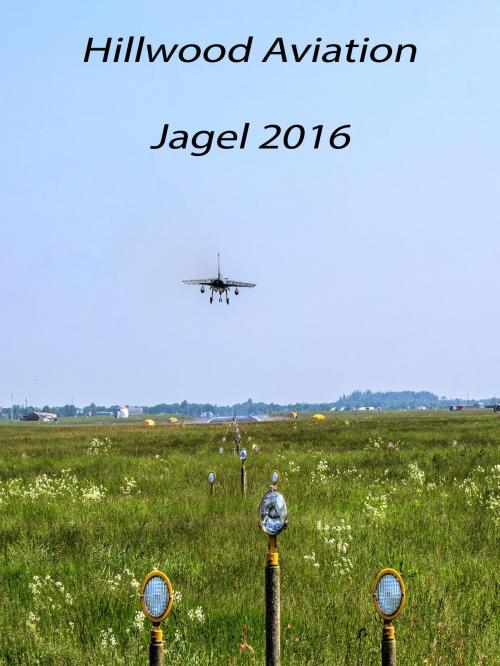 Cover of the book Jagel 2016 by Hauke Berkholtz, Books on Demand