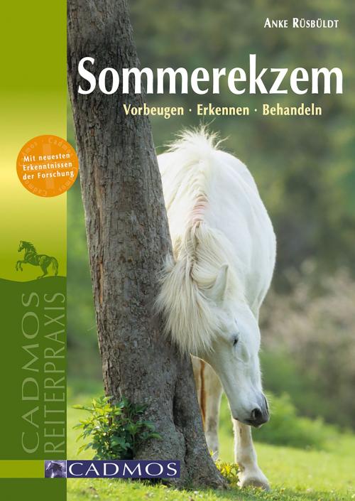 Cover of the book Sommerekzem by Anke Rüsbüldt, Cadmos Verlag