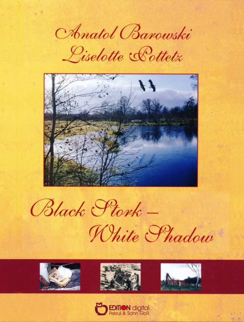 Cover of the book Black Stork - White Shadow by Liselotte Pottetz, Anatol Barowski, EDITION digital