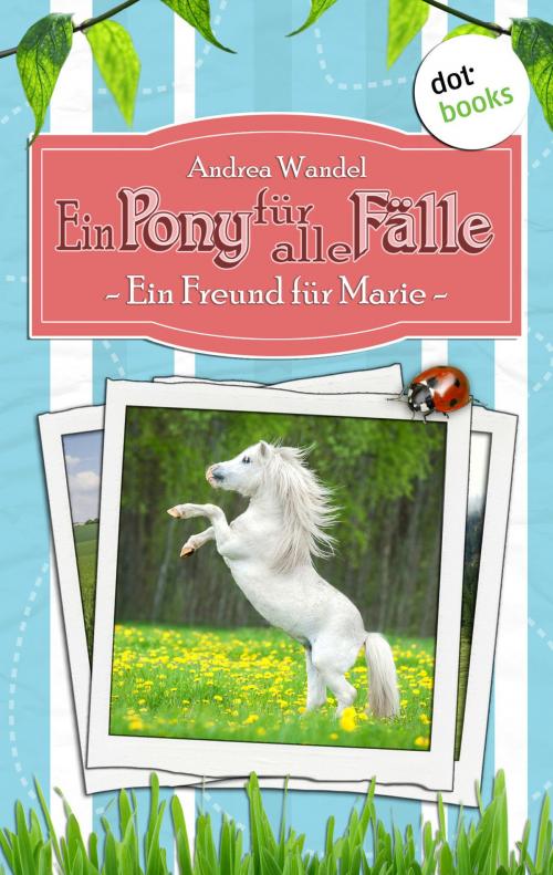 Cover of the book Ein Pony für alle Fälle - Erster Roman: Ein Freund für Marie by Andrea Wandel, dotbooks GmbH