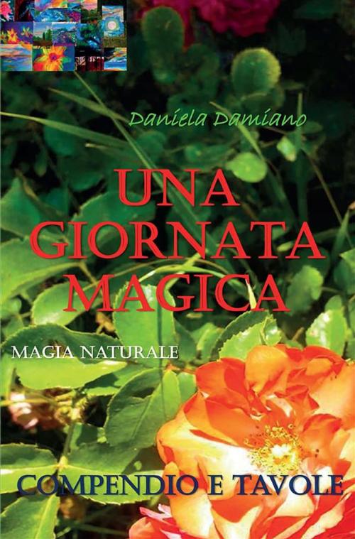 Cover of the book Una giornata magica by Daniela Damiano, Youcanprint