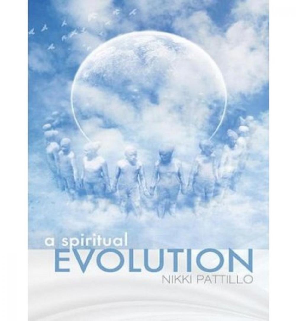 Big bigCover of A Spiritual Evolution