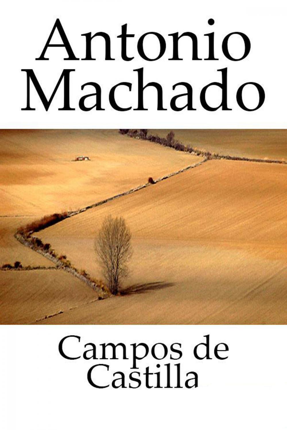 Big bigCover of Campos de Castilla