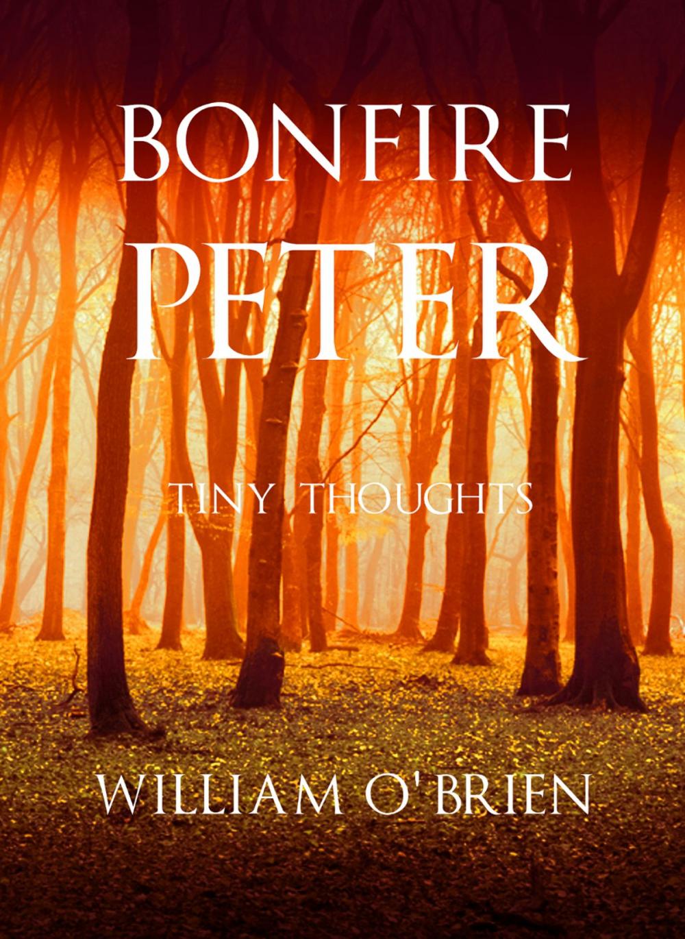 Big bigCover of Bonfire Peter