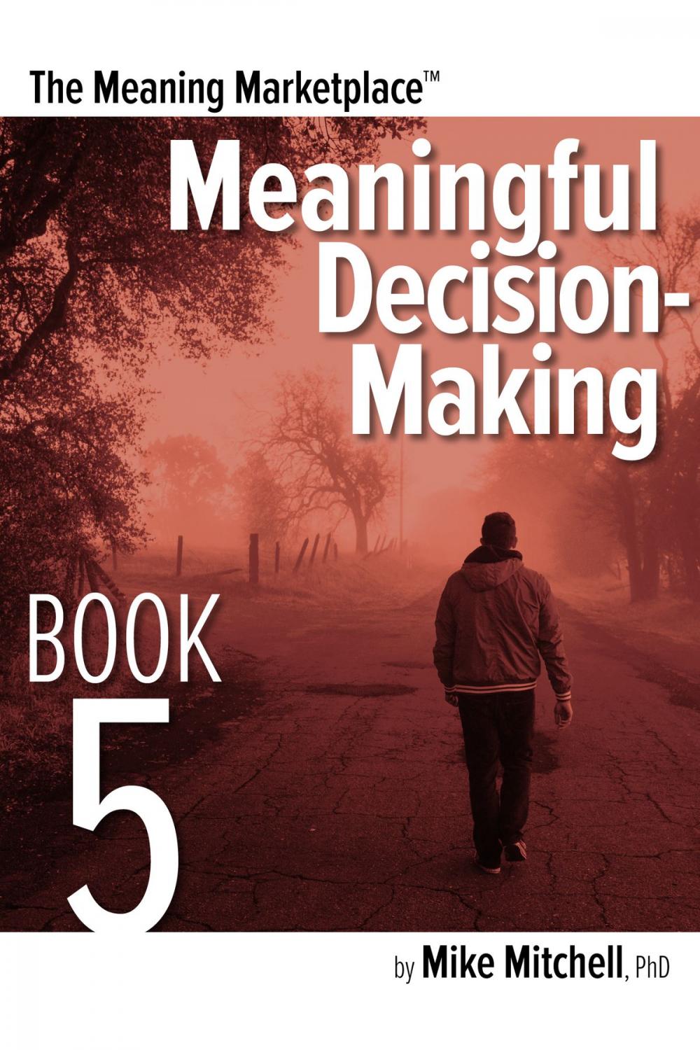 Big bigCover of Meaning Marketplace Book 5