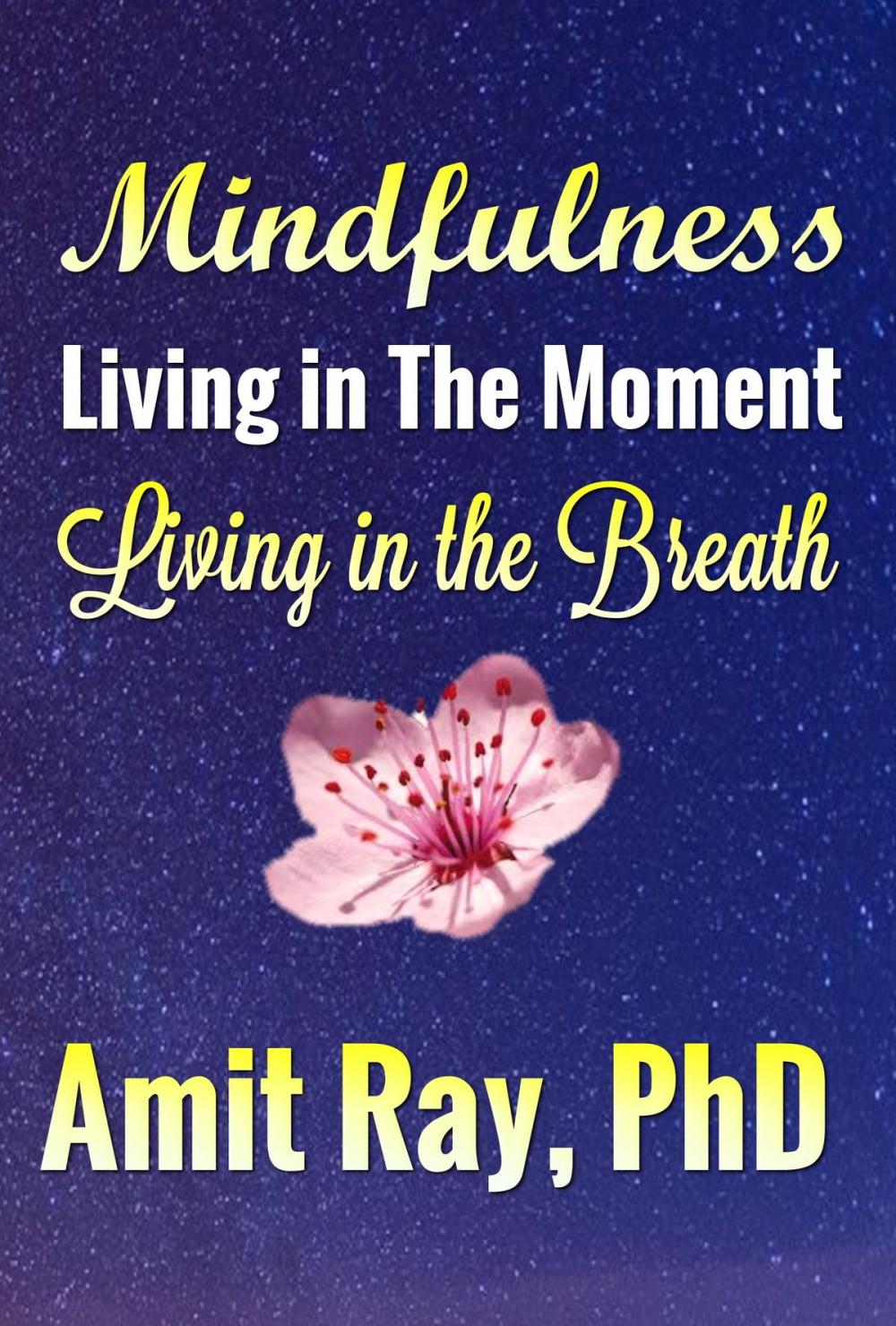 Big bigCover of Mindfulness: Living in the Moment Living in the Breath