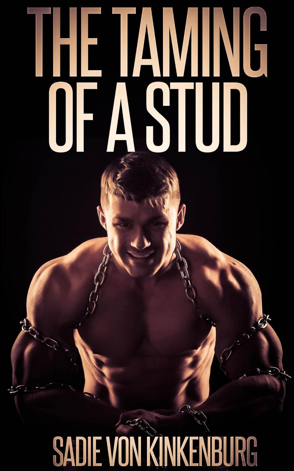 Big bigCover of The Taming of a Stud