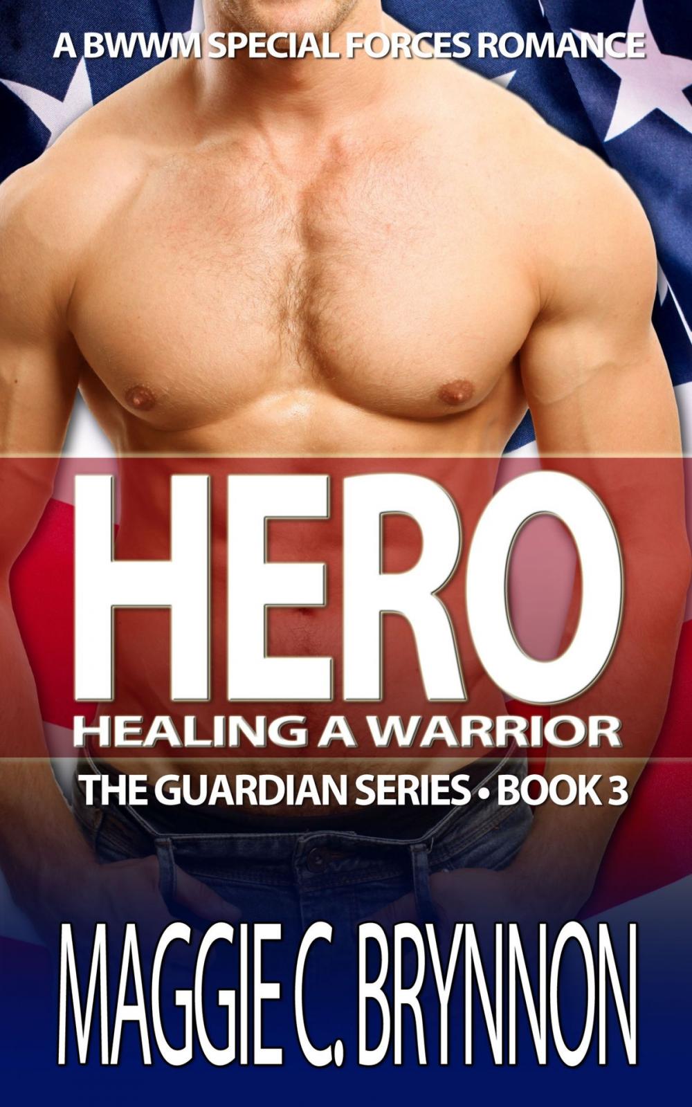 Big bigCover of Hero: Healing a Warrior, Book 3