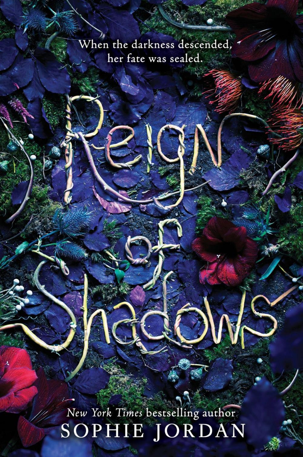 Big bigCover of Reign of Shadows