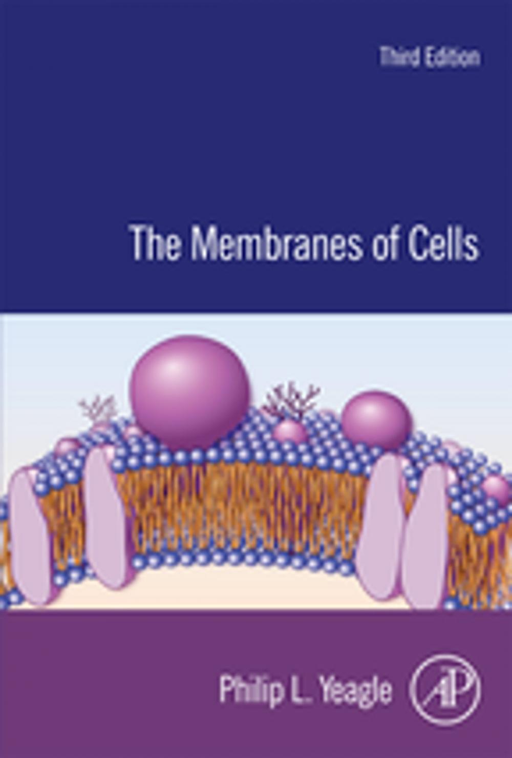 Big bigCover of The Membranes of Cells