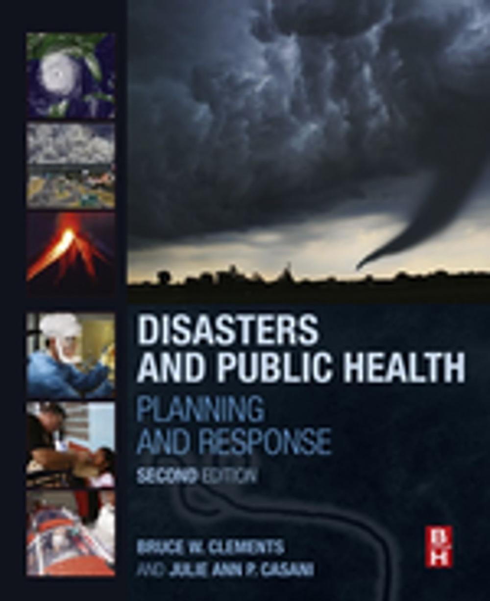 Big bigCover of Disasters and Public Health