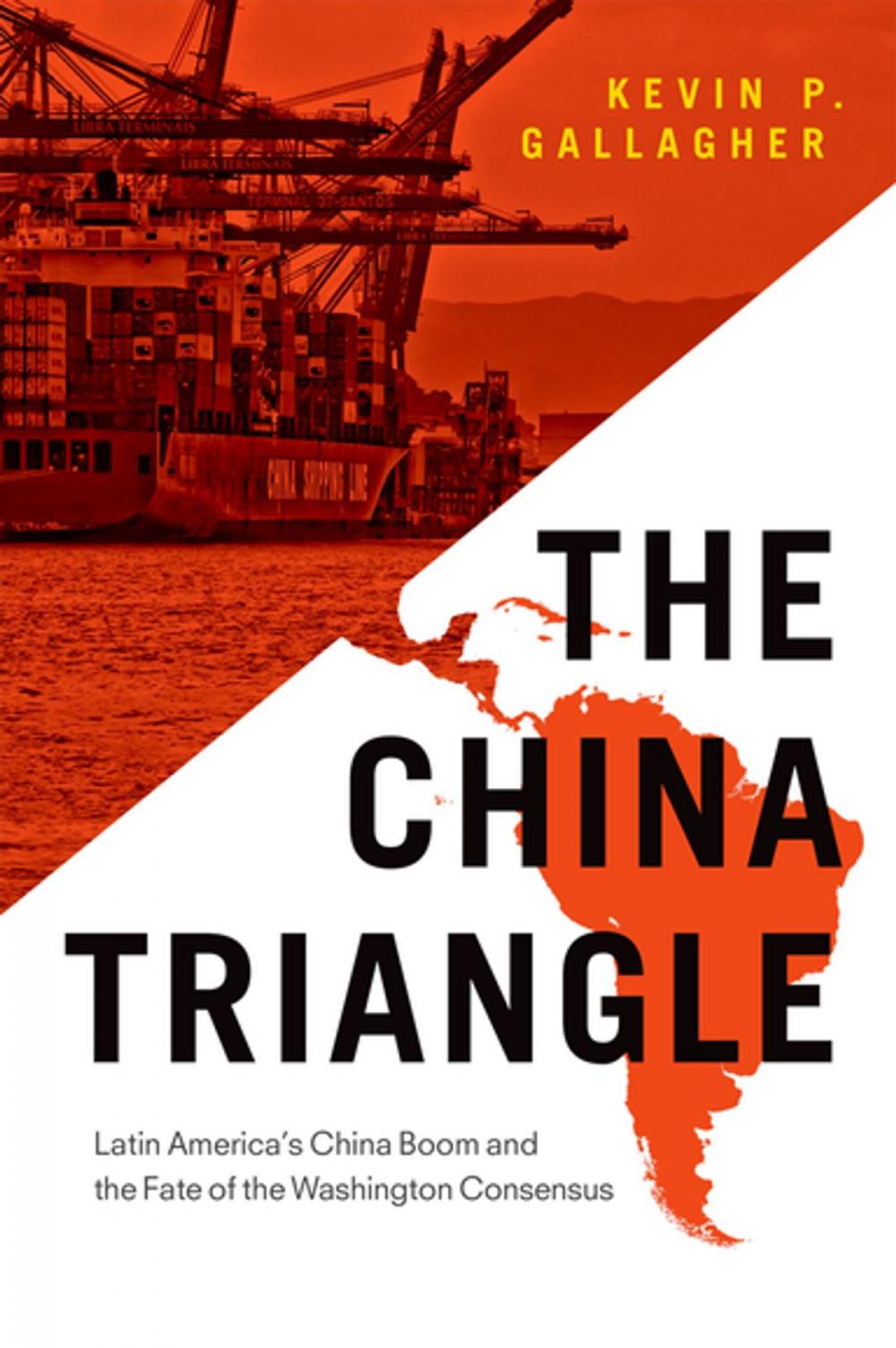 Big bigCover of The China Triangle