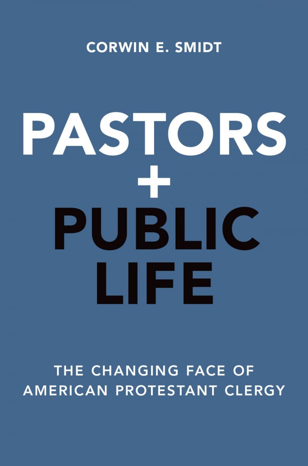 Big bigCover of Pastors and Public Life