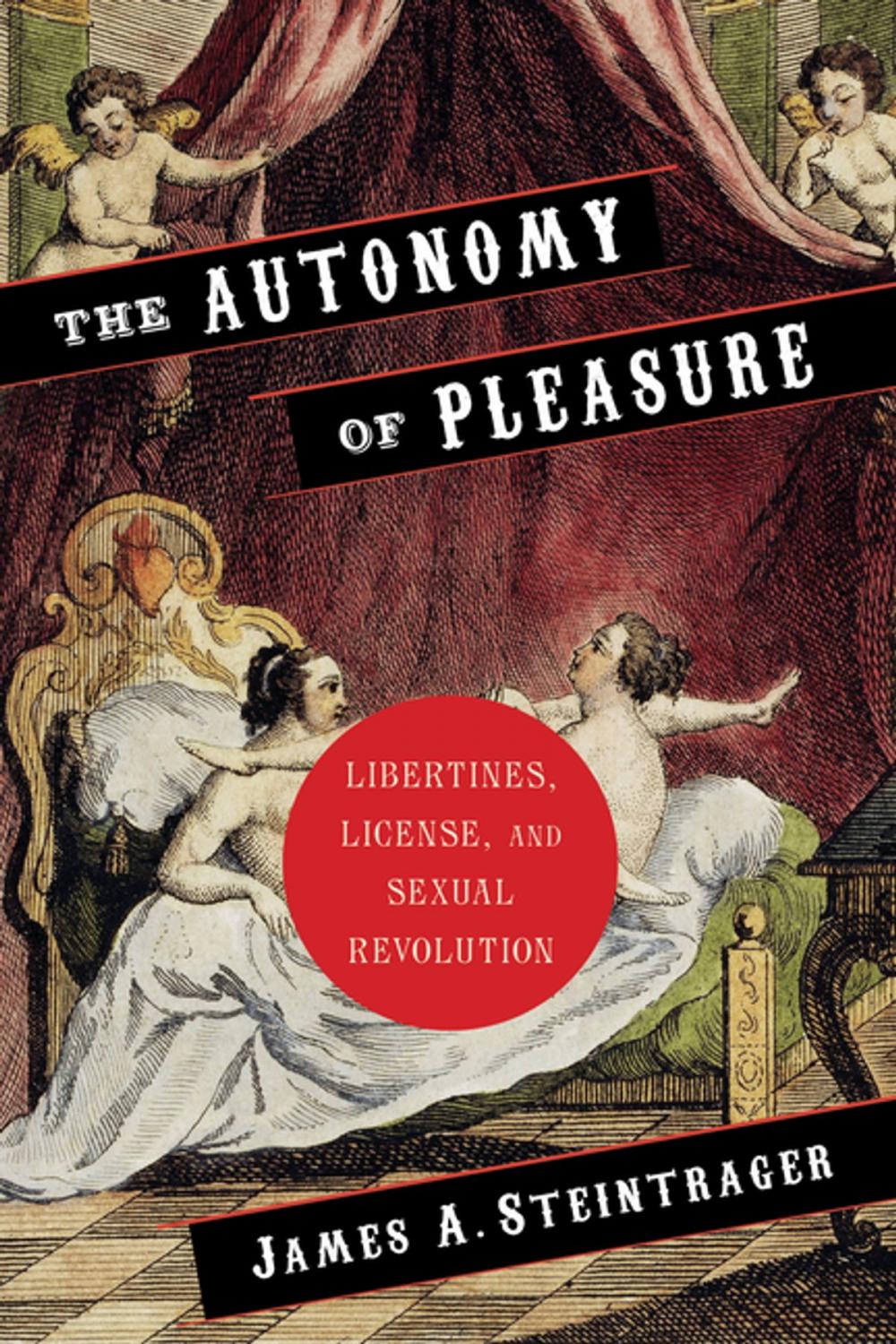 Big bigCover of The Autonomy of Pleasure