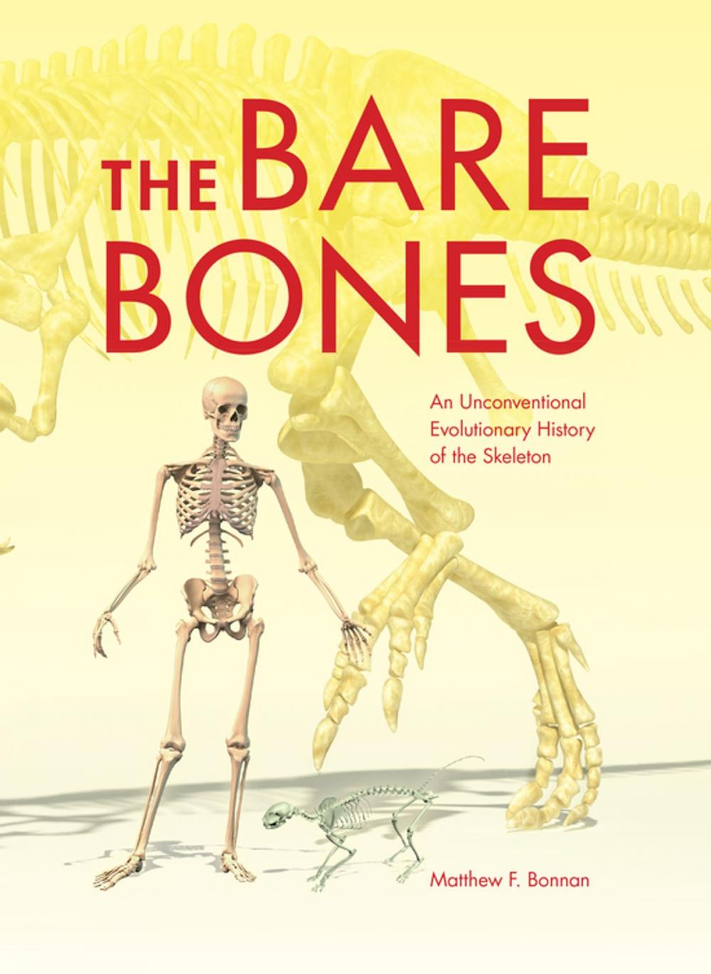 Big bigCover of The Bare Bones