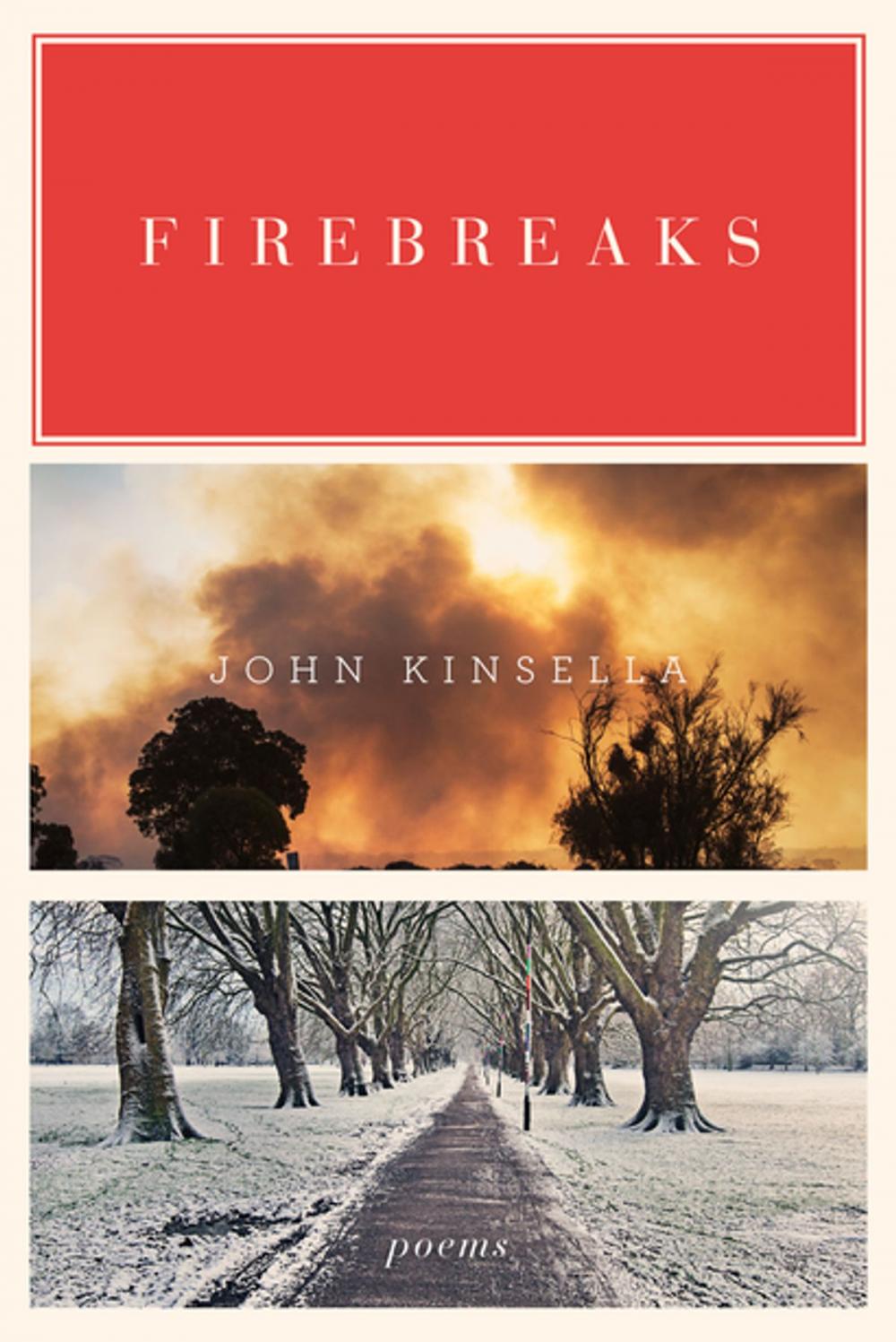 Big bigCover of Firebreaks: Poems