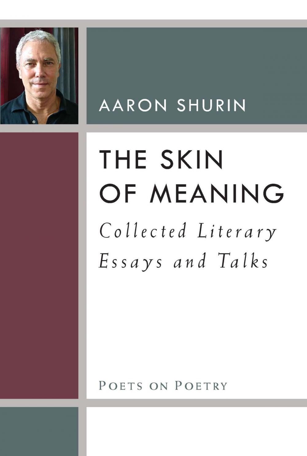 Big bigCover of The Skin of Meaning