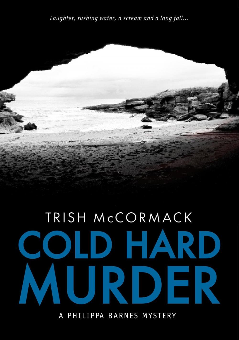 Big bigCover of Cold Hard Murder (Philippa Barnes mysteries 3)