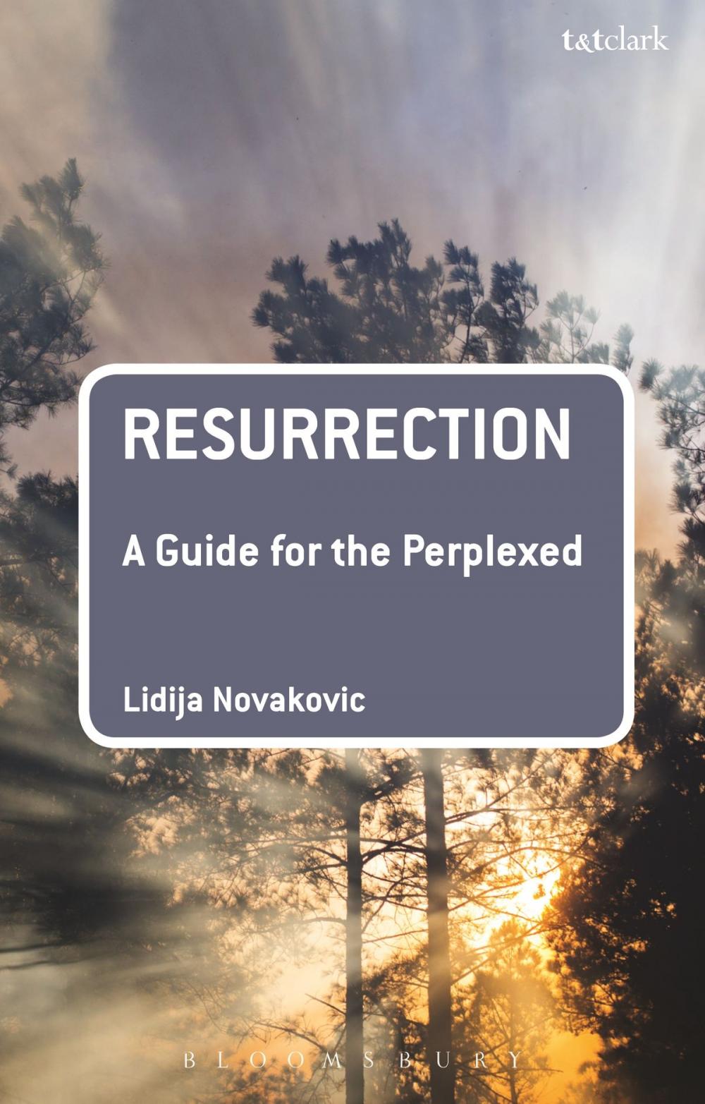 Big bigCover of Resurrection: A Guide for the Perplexed