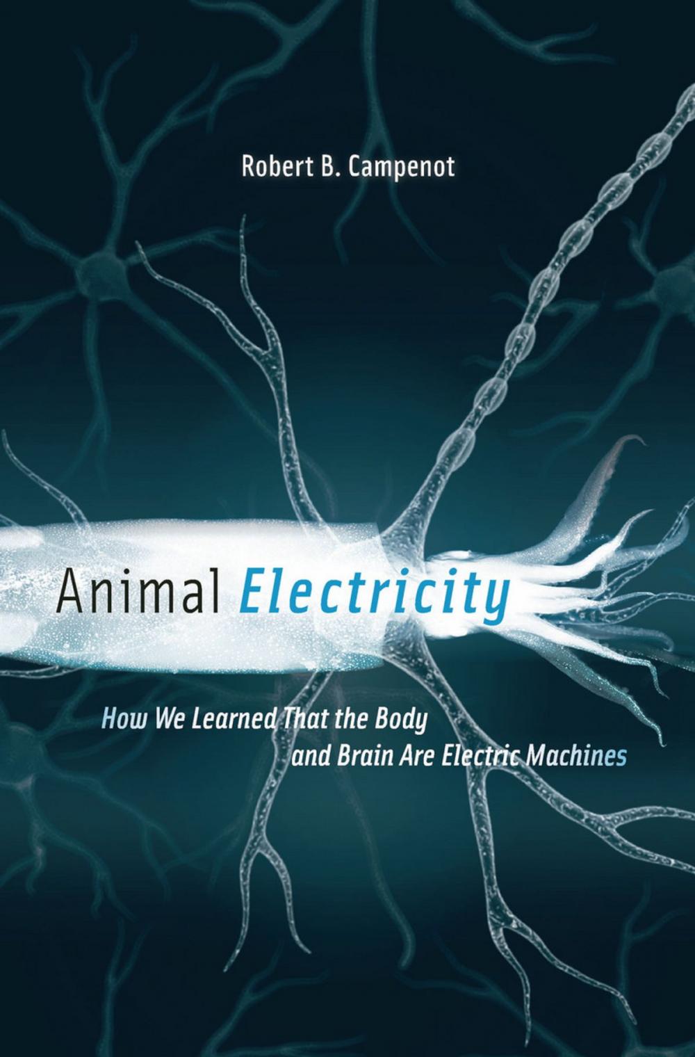 Big bigCover of Animal Electricity