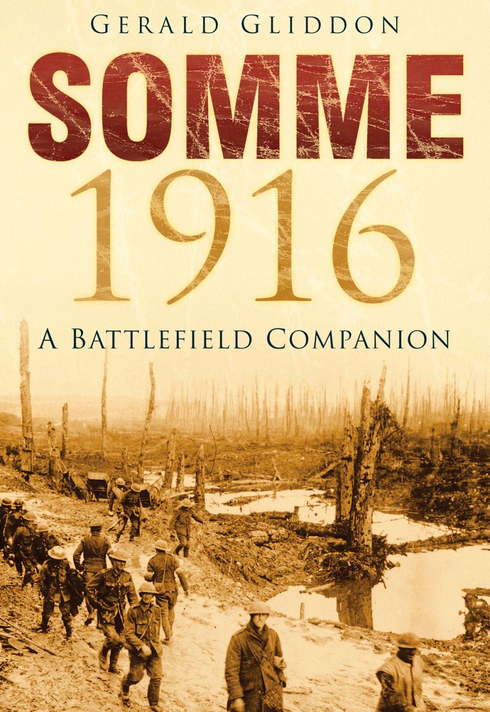 Big bigCover of Somme 1916