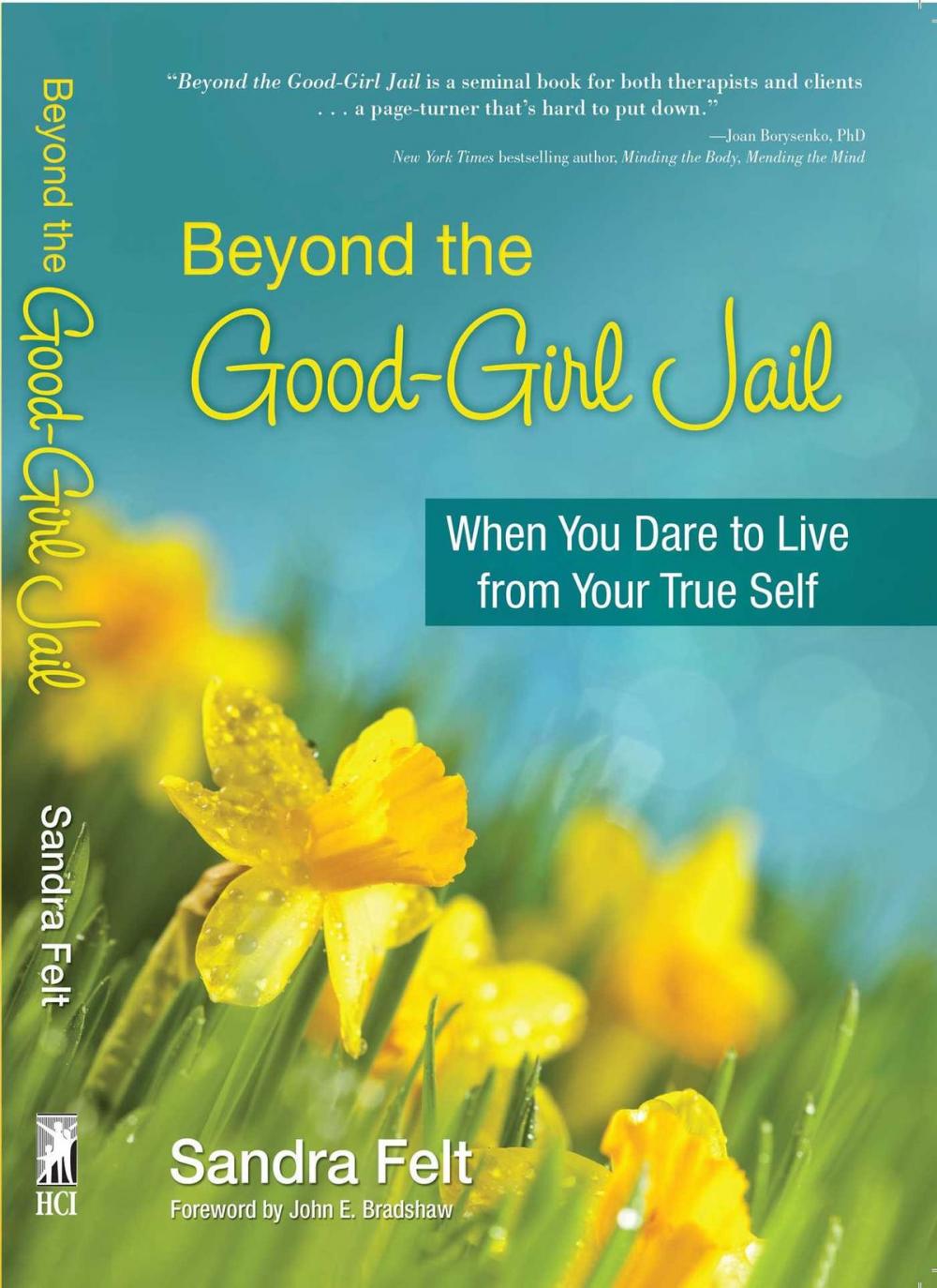 Big bigCover of Beyond the Good Girl Jail