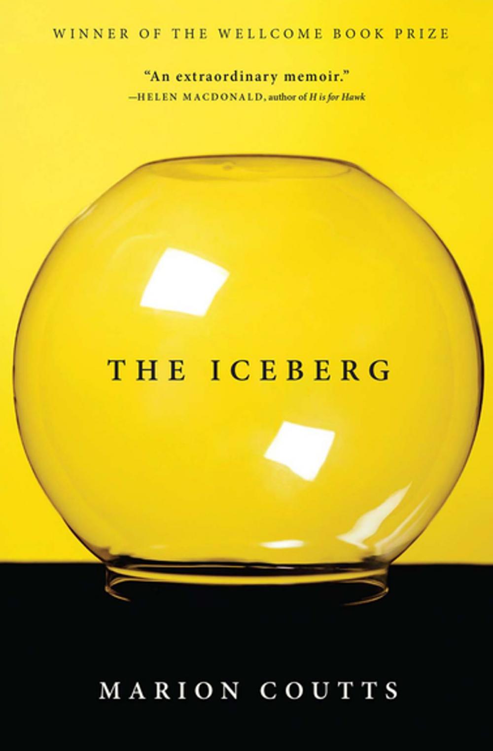 Big bigCover of The Iceberg