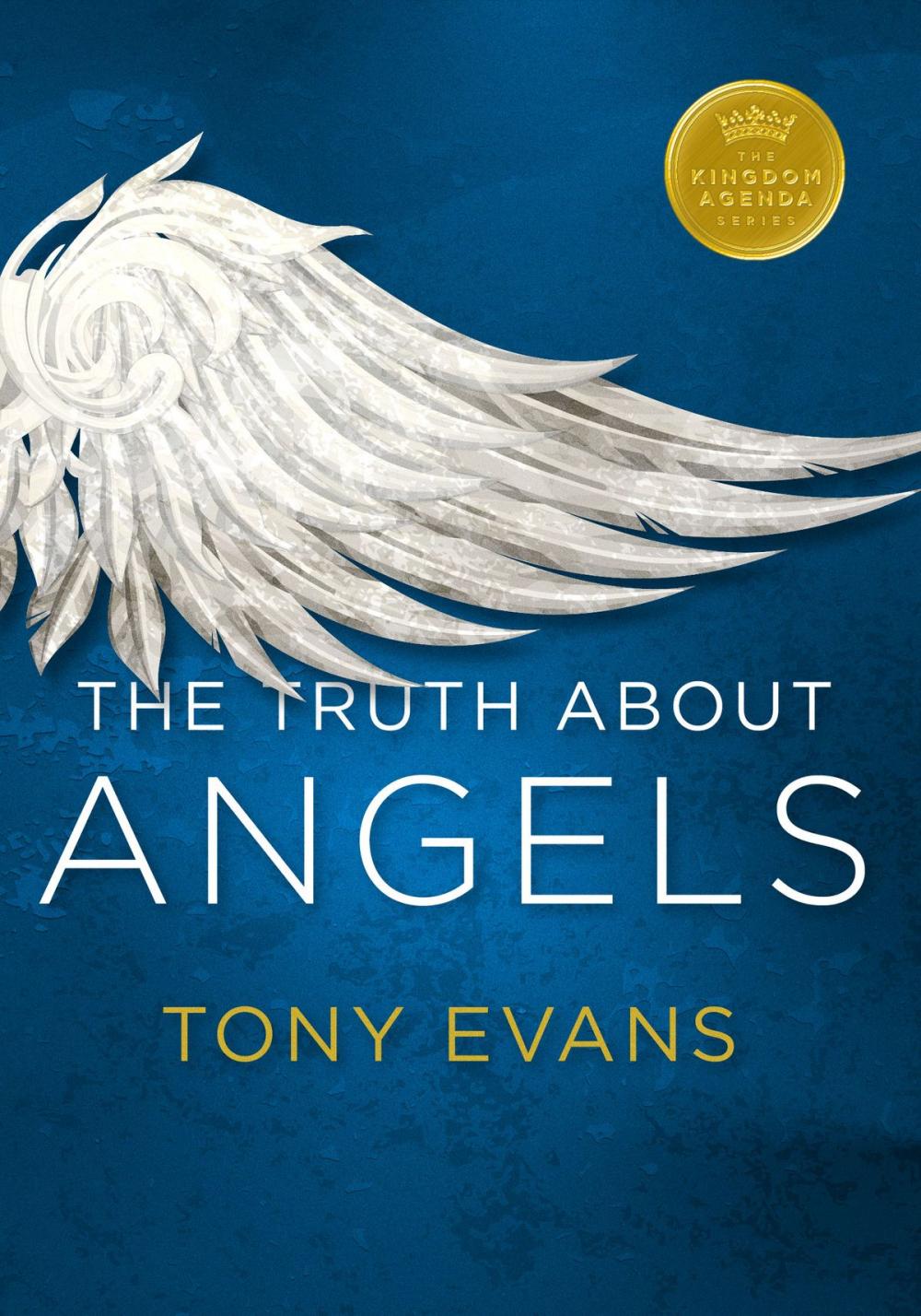 Big bigCover of The Truth About Angels