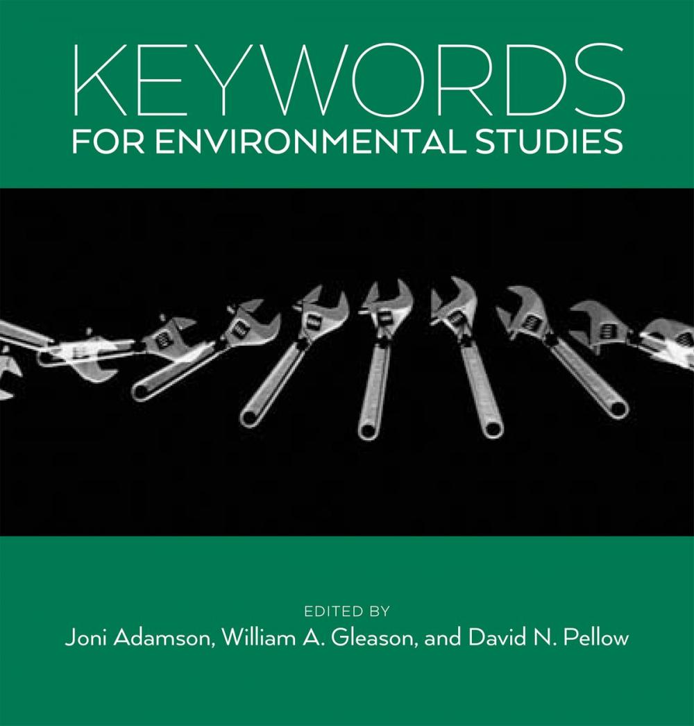 Big bigCover of Keywords for Environmental Studies