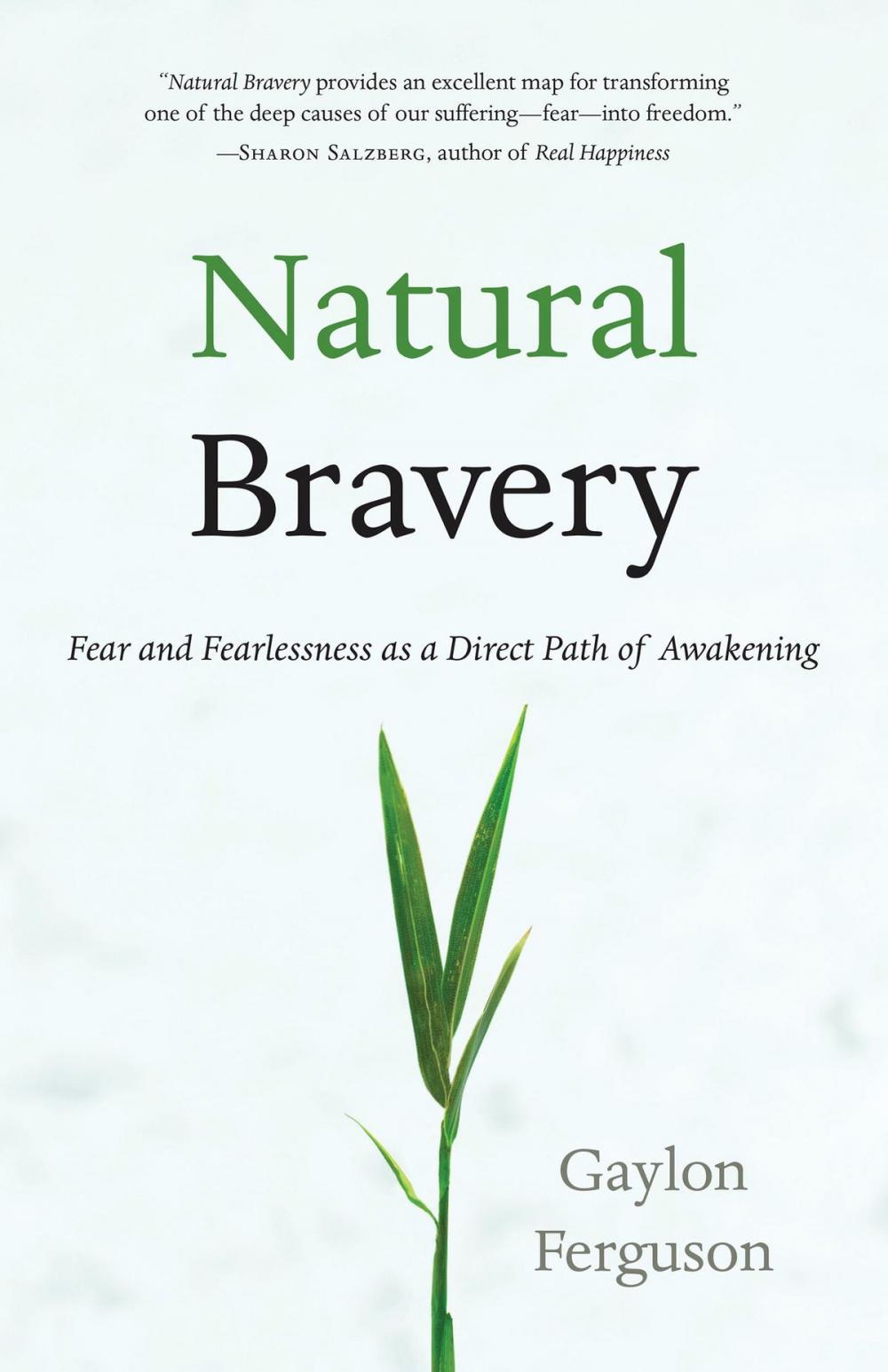 Big bigCover of Natural Bravery