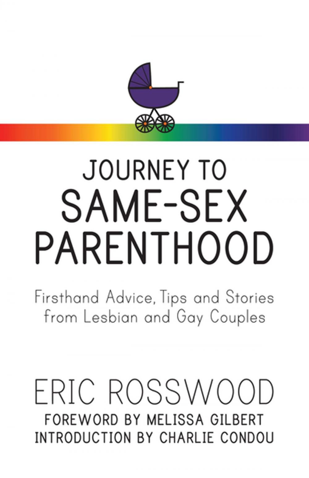 Big bigCover of Journey to Same-Sex Parenthood